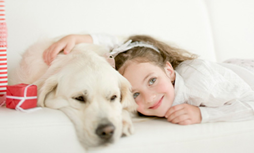 Health For Pet